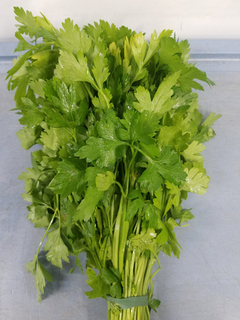 Parsley - Italian Flat (LOCAL)